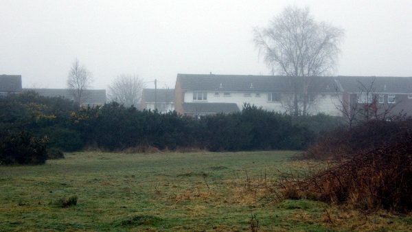 Photograph of 1970s suburban housing seen through a patch of gorse land.
